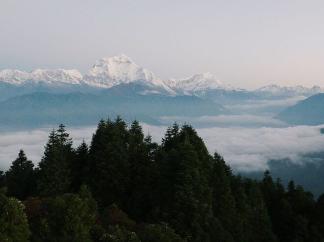 Pokhara:4-Day Ghorepani Poon Hill Guided Trek via Ghandruk - Inclusions and Exclusions