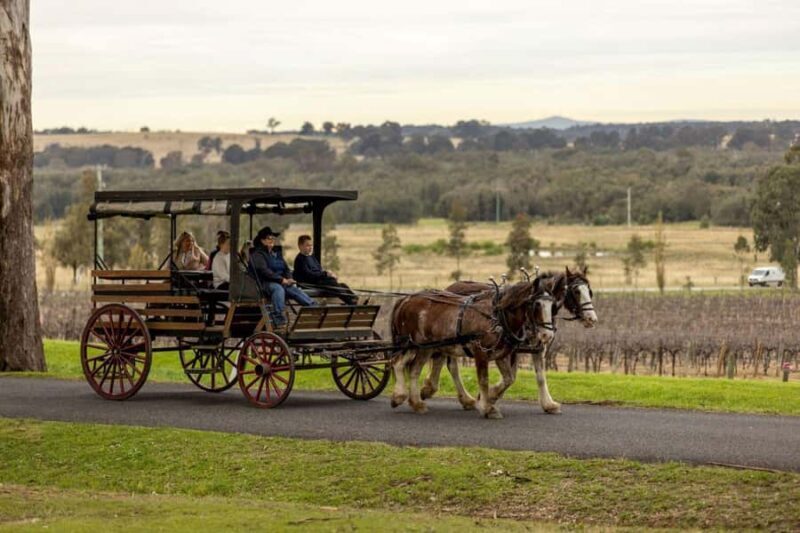 Pokolbin: Harvest the Hunter Horse Drawn Carriage Tour 3hrs - Good To Know  