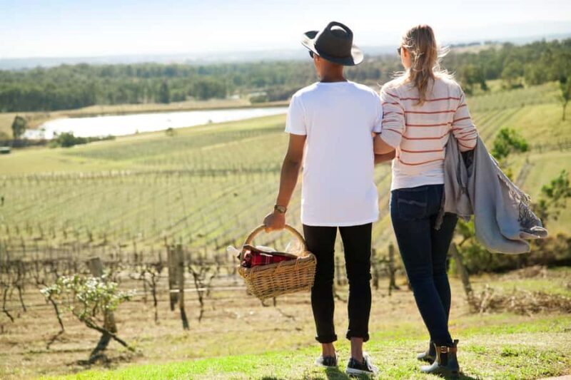 Pokolbin: Picnic & Wine Tasting at Audrey Wilkinson Vineyard - Exploring the Experience