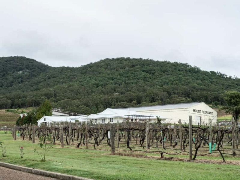 Pokolbin: The Mother Vine Experience | Tour and Wine Tasting - The Sum Up
