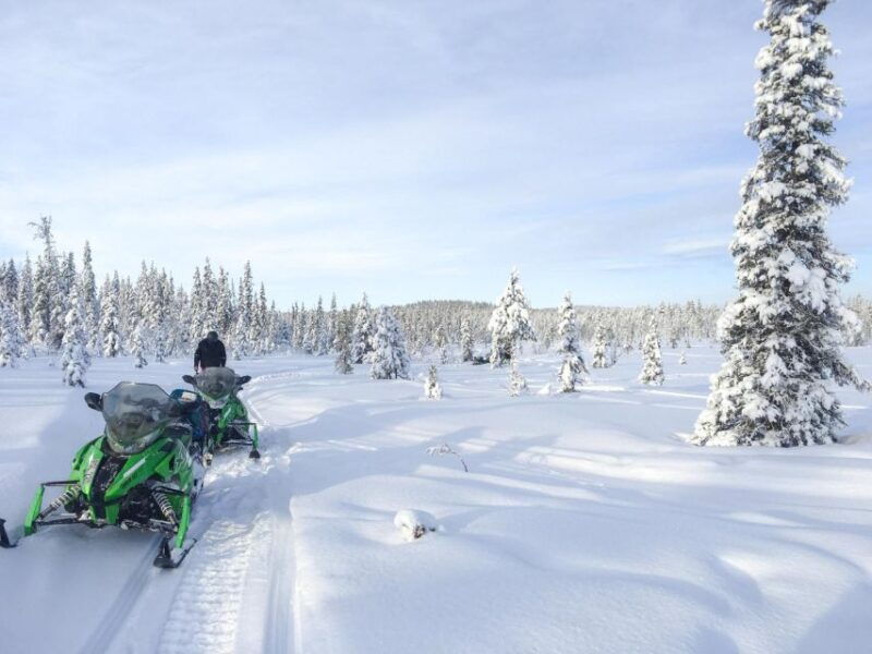 Polar Nature Tour on Snowmobile - An In-Depth Look at the Polar Nature Snowmobile Tour