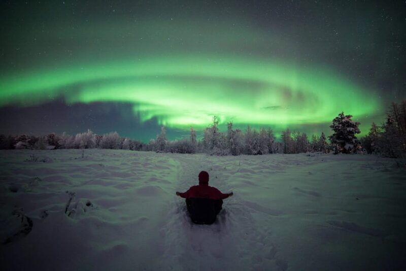 Polar Night Snowshoe Trek - Discovering the Magic of the Arctic Forest