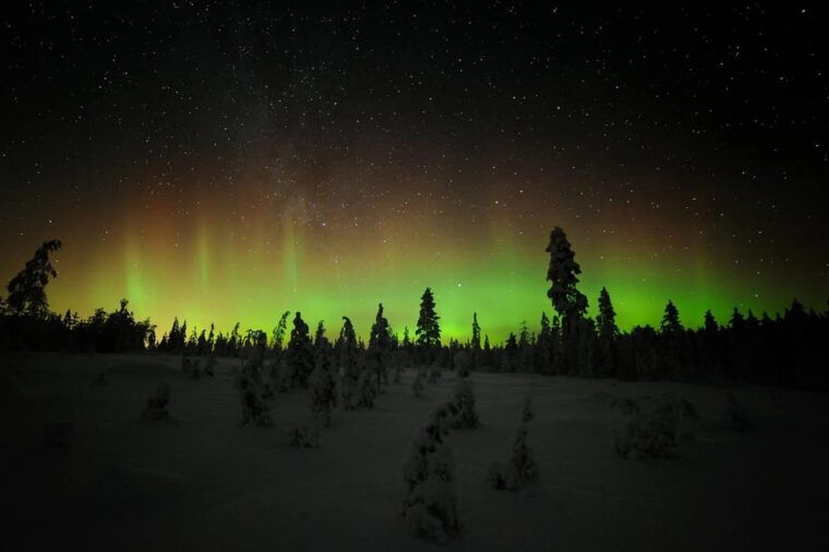 Polar Night Snowshoe Trek - Practical Details and Value
