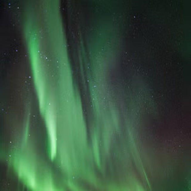 Polar Night Snowshoe Trek - Why This Tour Is Worth It