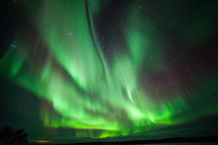 Polar Night Snowshoe Trek - Who Will Love This Experience?