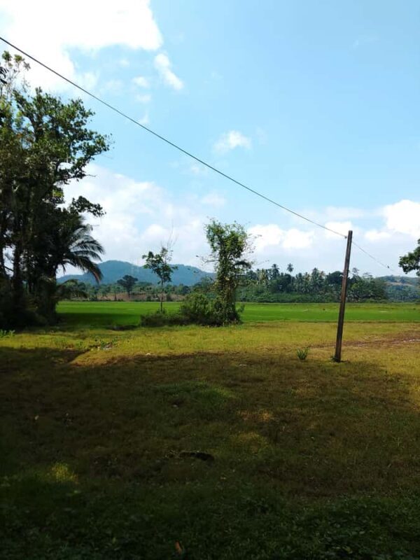 Polgampola Waterfall Tour by Tuk Tuks From Bentota area - Discovering the Charm of the Polgampola Waterfall Tour by Tuk Tuks from Bentota