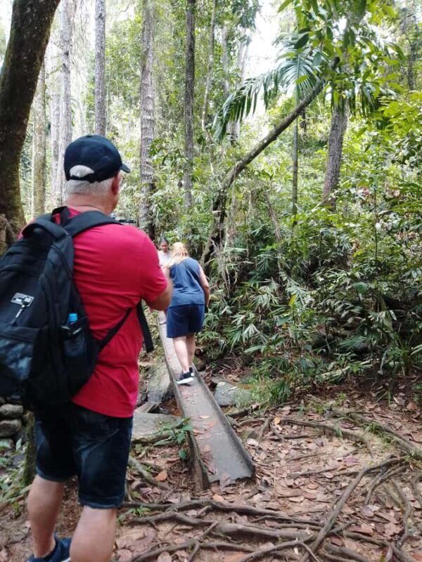 Polgampola Waterfall Tour by Tuk Tuks From Bentota area - Good To Know
