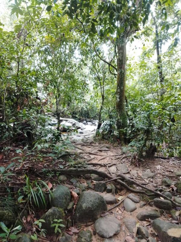 Polgampola Waterfall Tour by Tuk Tuks From Bentota area - Who Is This Tour Best For?