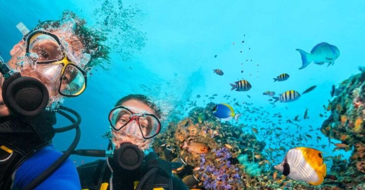 Polignano a Mare: Scuba Experience With Certification - Good To Know