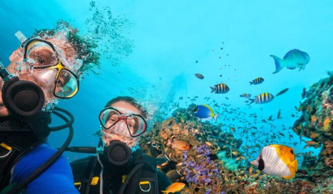 Polignano a Mare: Scuba Experience With Certification - Experience Description