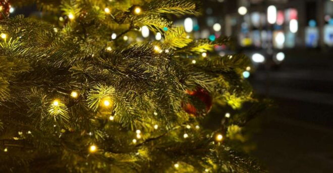Polignano's Christmas Charm: A Festive Coastal Walk - Highlights