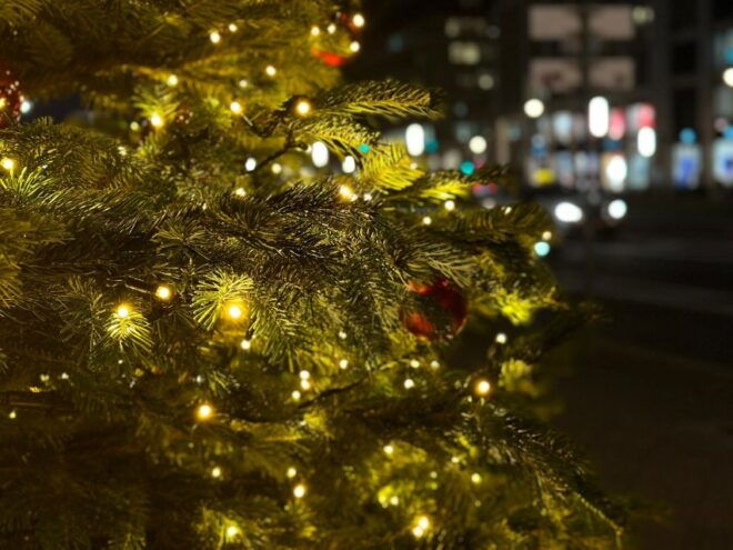 Polignano's Christmas Charm: A Festive Coastal Walk - Meeting Point