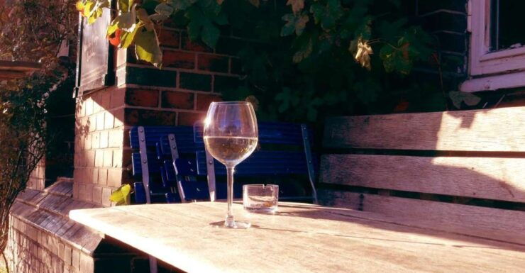 Polish Vineyards! (Gródek and a Jaworz Watchtower) - Tour Details