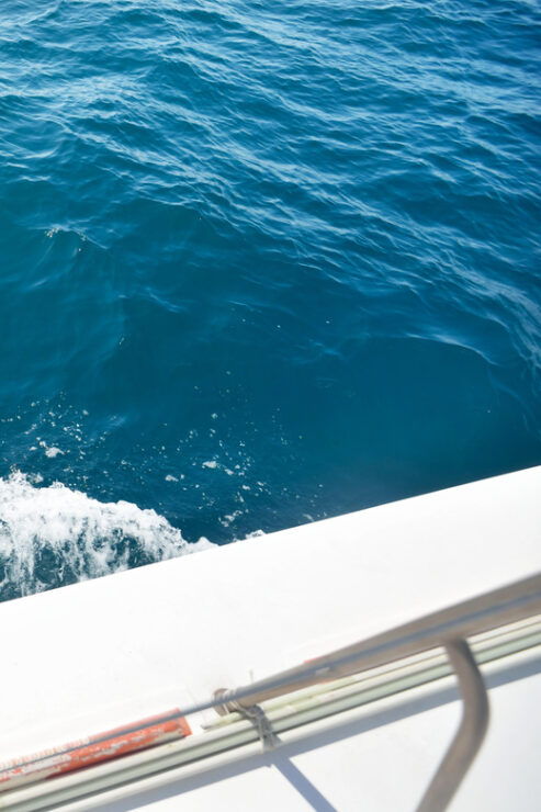 Pollença: Dolphin Watching Boat Excursion - Pricing and Booking