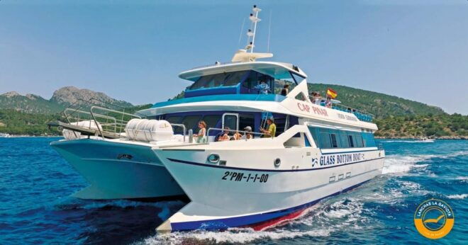 Pollença: Dolphin Watching Boat Excursion - Accessibility and Participants