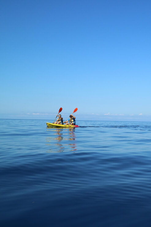 Pollença: Kayak and Coasteering Cliff Jumping - Good To Know