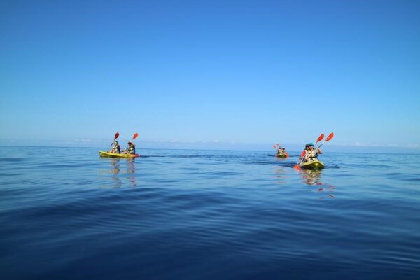 Pollença: Kayak and Coasteering Cliff Jumping - Booking and Cancellation