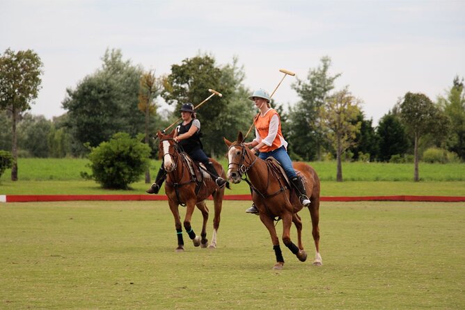 Polo Day With Argentine Asado Day Tour From Buenos Aires - Additional Info