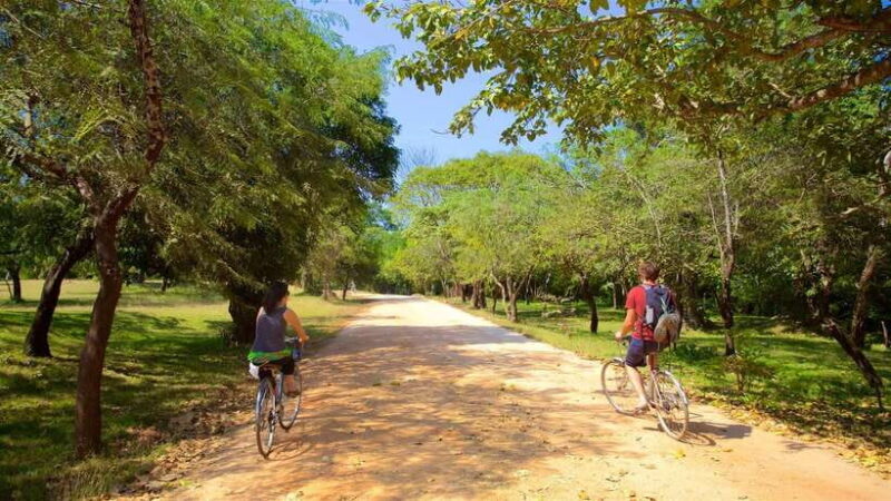 Polonnaruwa: All Inclusive Ancient City Guided Cycling Tour - Good To Know