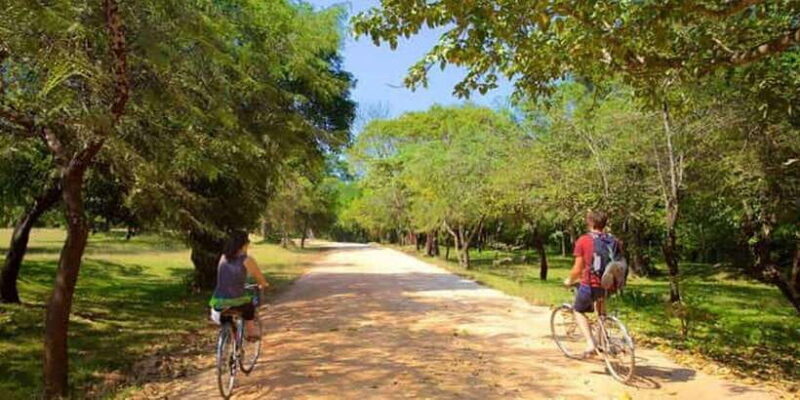 Polonnaruwa: All Inclusive Ancient City Guided Cycling Tour - Who Would Love This Tour?  