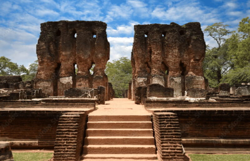 Polonnaruwa Ancient City and Wildlife Safari from Dambulla - Good To Know