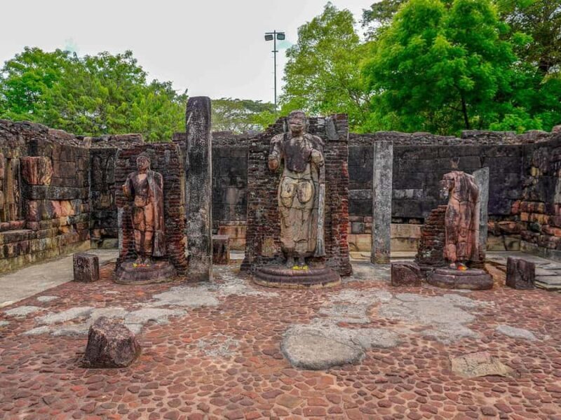 Polonnaruwa Ancient City & Minneriya Safari Combo Tour - Round-Trip Comfort & Timing
