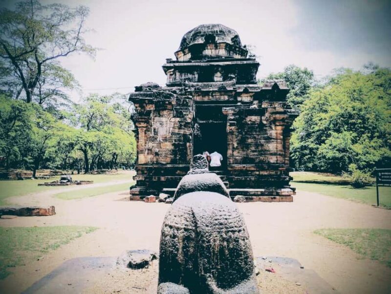 Polonnaruwa: Ancient City Sightseeing Guided Tour - Cost and Value