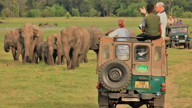 Polonnaruwa Cycling: Paddy-Field Lunch with Eco Park Safari - Discovering Polonnaruwa by Bicycle: A Cultural and Historic Journey