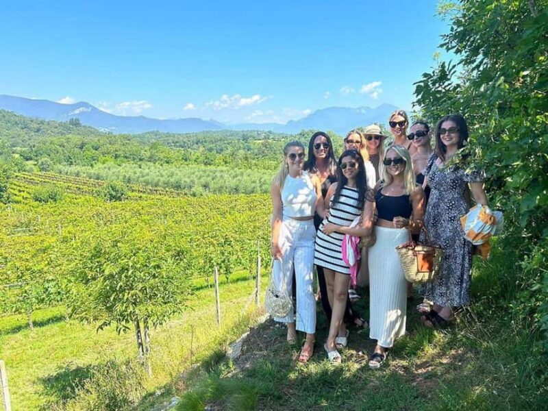 Polpenazze: Winery Tour with 4 Valtenesi Rosè Wines and Food - Exploring the Rosé Heritage of Valtenesi