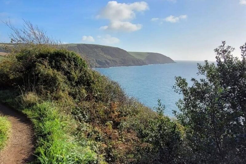 Polruan: Lansallos Coast Path Guided Walk - Good To Know  