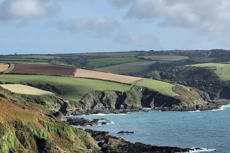 Polruan: Lansallos Coast Path Guided Walk - An In-Depth Look at the Experience
