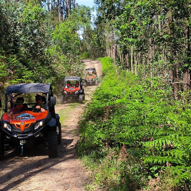 Pombal-Sicó: 60 Minutes OFF-ROAD Buggy Ride - Off-Road Driving
