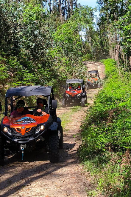 Pombal-Sicó: 60 Minutes OFF-ROAD Buggy Ride - Notable Destinations