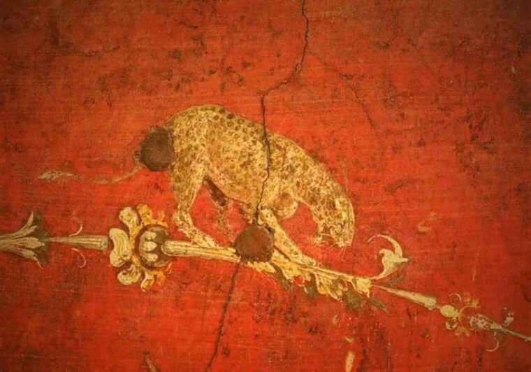 Pompei and Herculaneum: Skip the Line Entry + Audioguide - Frequently Asked Questions