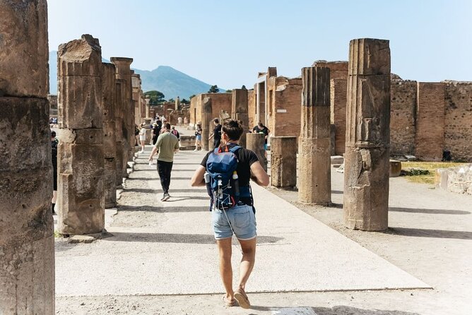 Pompei and Mount Vesuvius Wine Tasting Private Tour From Sorrento - Good To Know
