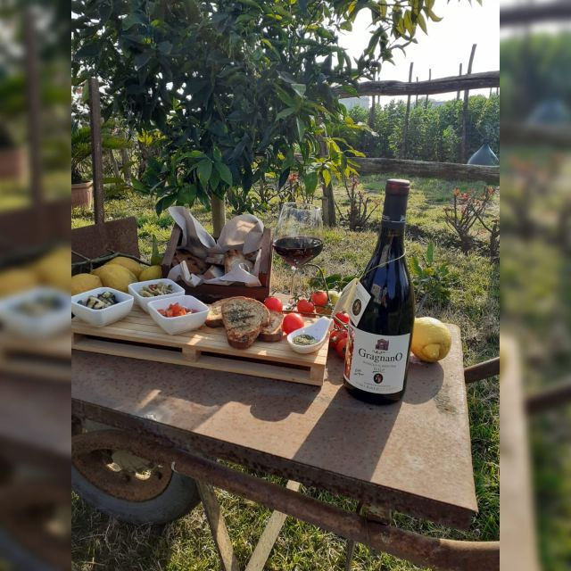 Pompei : Cooking Class and Guided Tour With an Archeologist - Inclusions