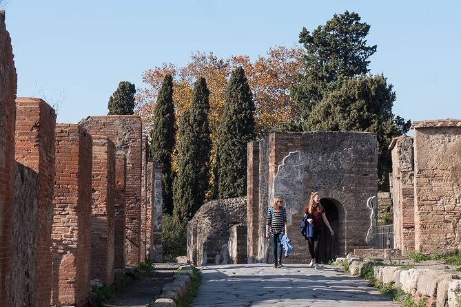 Pompei Private Tour With An Expert Archaeologist Guide - Historical Insights and Roman Lifestyle