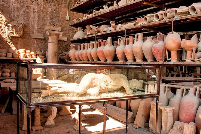 Pompei Ruins Private Tour From Rome - What To Expect