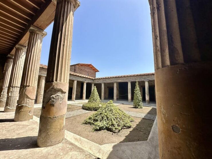 Pompei: the Latest Discoveries With Your Archaeologist - Experience Highlights