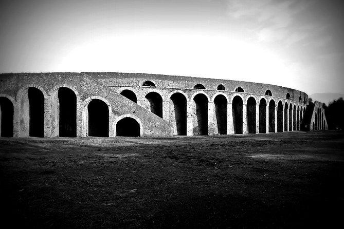 POMPEI TOUR Half Day - Departure From NAPLES Center (Entrance Ticket Included) - The Sum Up