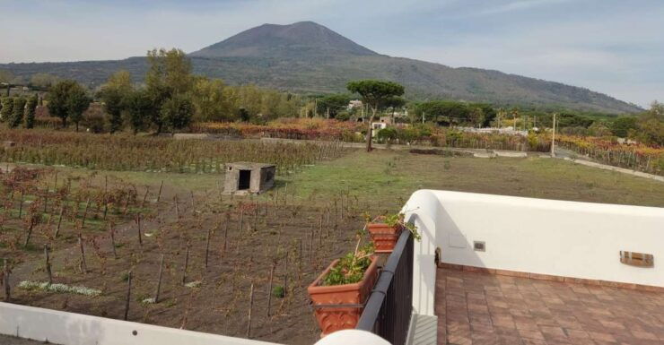 Pompei Tour - Tour Price and Availability