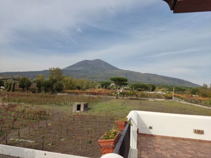 Pompei Tour - Reservation Process and Duration