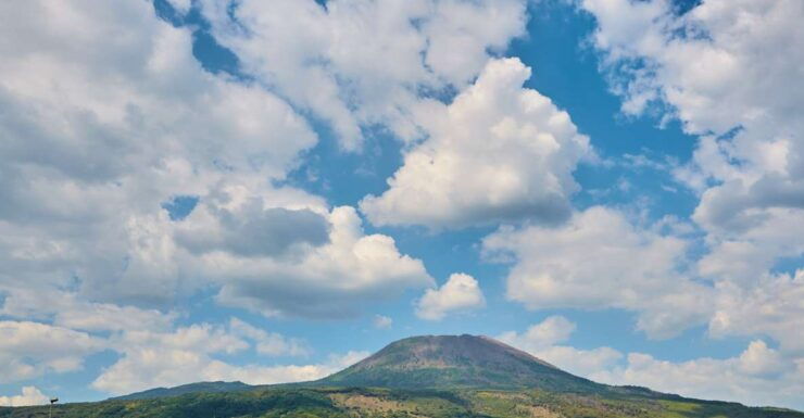 Pompei: Vesuvio National Park Round-Trip Bus Ticket - Activity Details