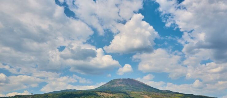 Pompei: Vesuvio National Park Round-Trip Bus Ticket - Experience Highlights