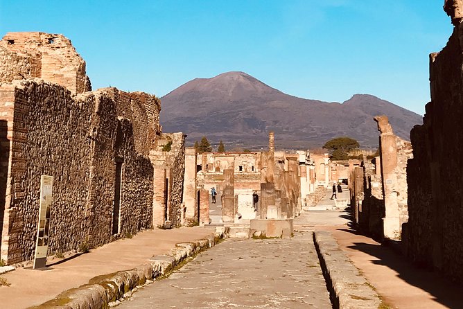 Pompei VIP: Tour With Ticket INCLUDED and Your Archaeologist - Tour Highlights