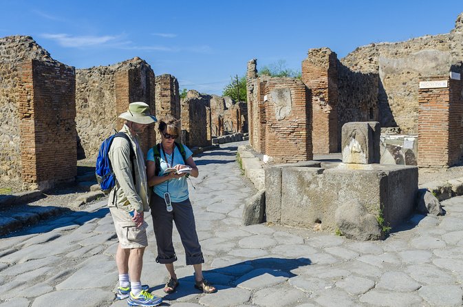 Pompeii 2-Hour Private Tour With an Archaeologist-Ticket Included - Common Questions