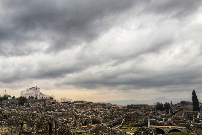 Pompeii 2 Hours Private Tour - Booking Information