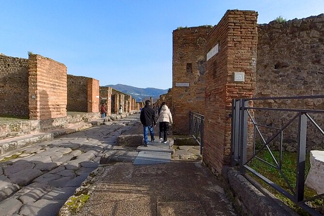 Pompeii: 2 Hours Skip the Line Visit With a Licensed Guide - Inclusions and Exclusions