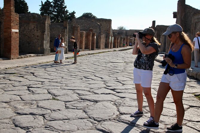 Pompeii: 2 Hours Skip the Line Visit With a Licensed Guide - Accessibility Information