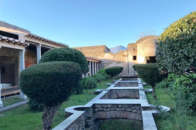 Pompeii 3h VIP: Skip-The-Line With Your Archaeologist - Booking Information